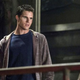 Illustration for article titled iThe Tomorrow People/i’s Robbie Amell joins iThe Flash /ias Firestorm